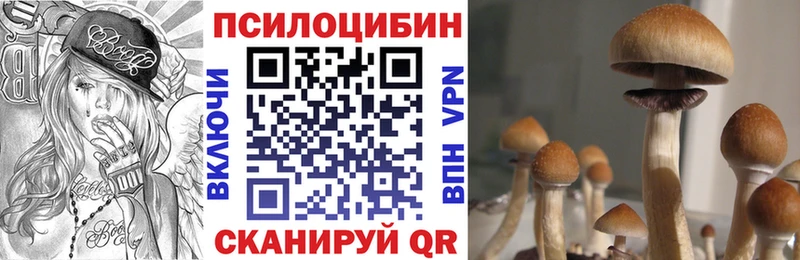 продажа наркотиков Оханск Псилоцибиновые грибы Magic Shrooms